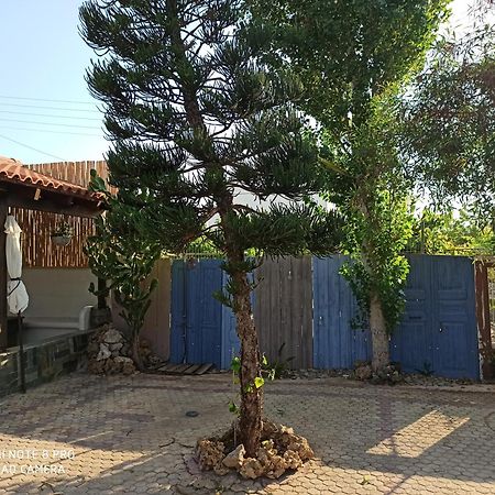 Cactus Home Kalamaki  Ngoại thất bức ảnh