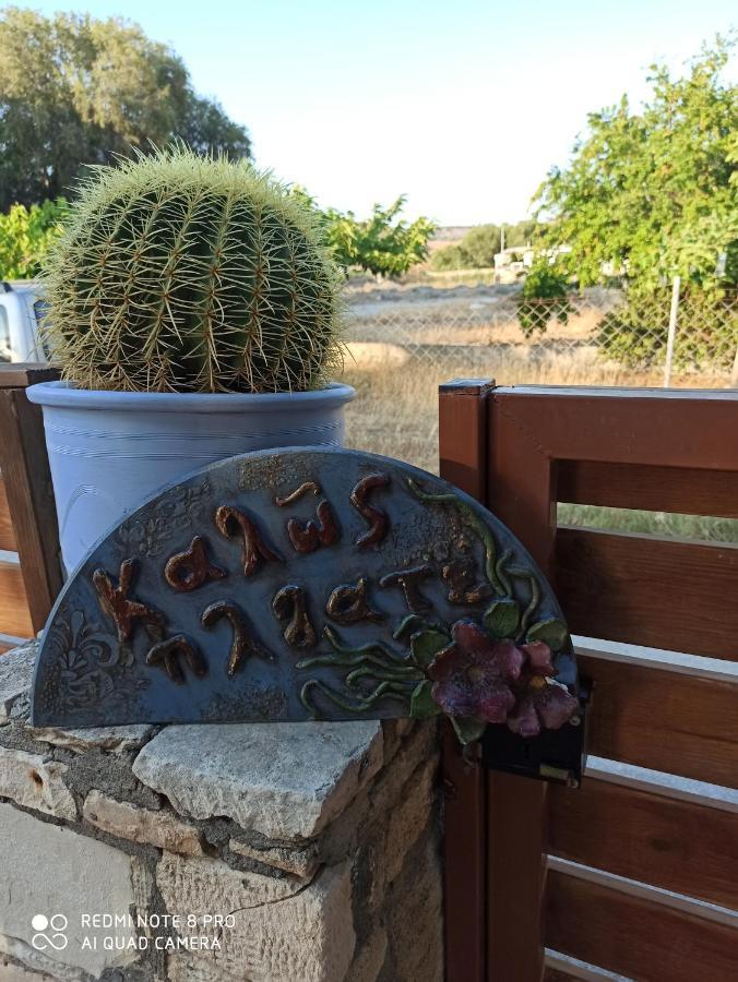 Cactus Home Kalamaki  Ngoại thất bức ảnh