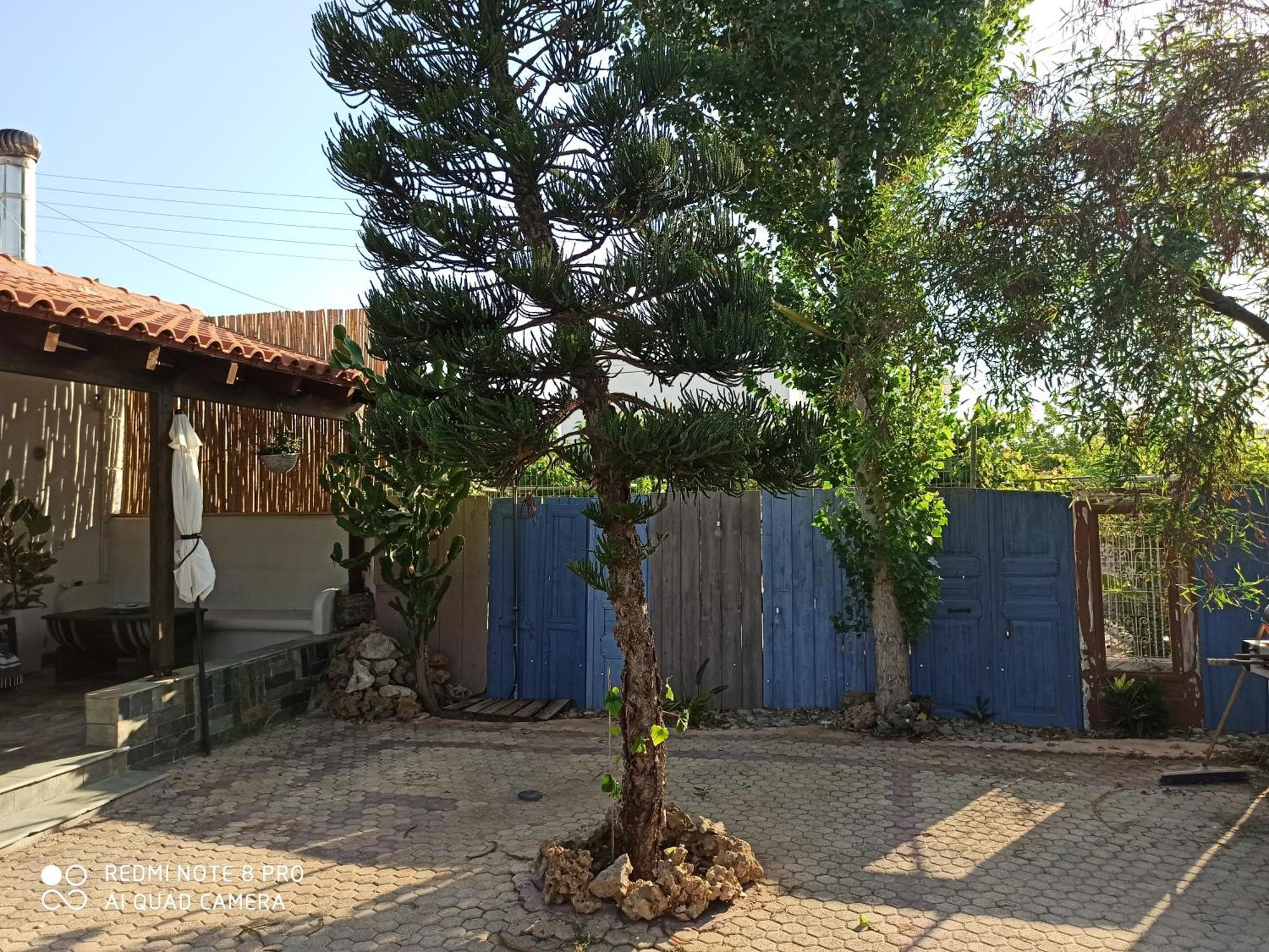 Cactus Home Kalamaki  Ngoại thất bức ảnh