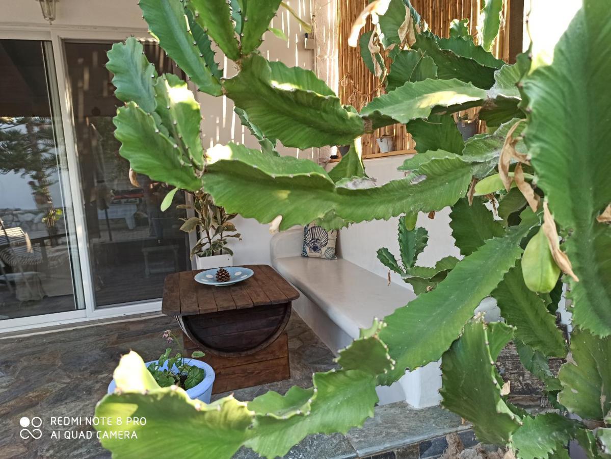 Cactus Home Kalamaki  Ngoại thất bức ảnh