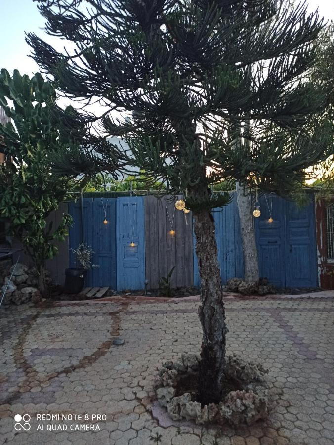 Cactus Home Kalamaki  Ngoại thất bức ảnh