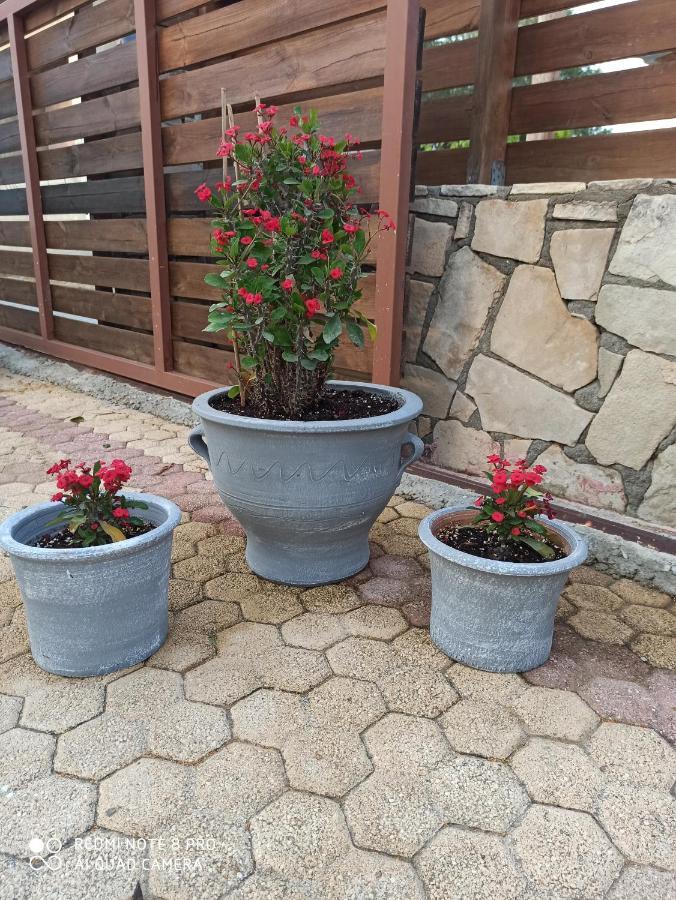 Cactus Home Kalamaki  Ngoại thất bức ảnh
